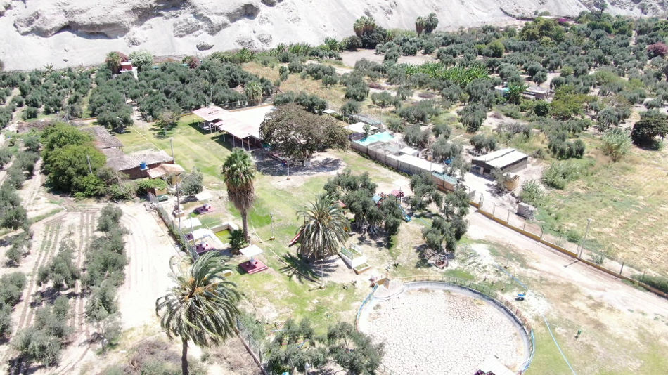 fundo_los_madonados_001