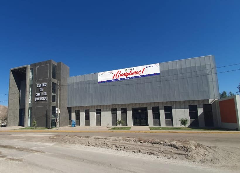 laboratorio_plagas_11