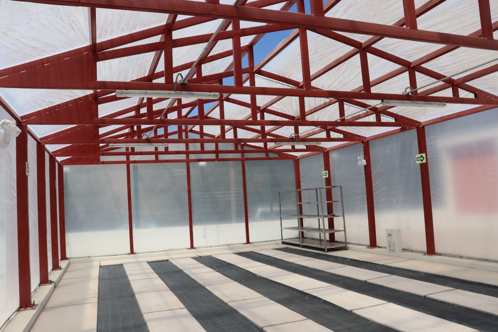 laboratorio_plagas_14