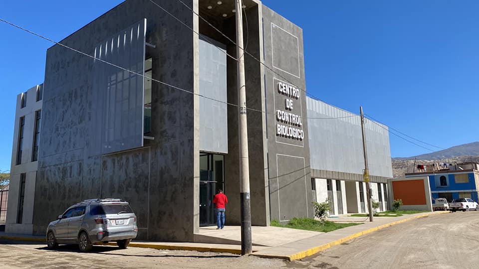 laboratorio_plagas_9